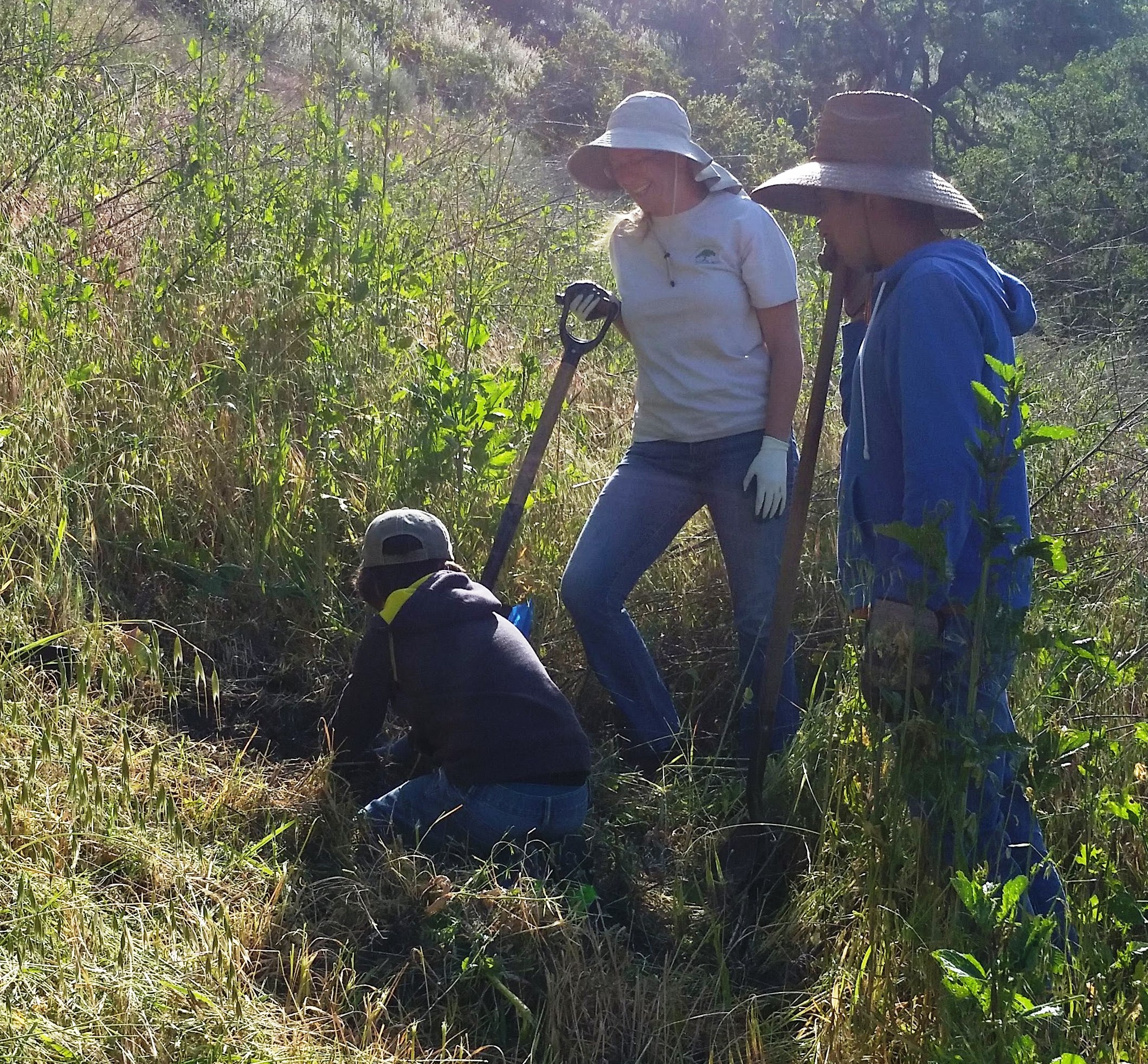 Planting a Foothill Pine!